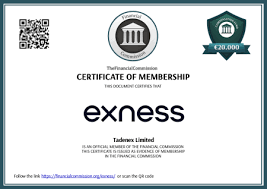 Understanding Exness Global Broker A Comprehensive Guide Understanding Exness Global Broker A Comprehensive Guide