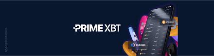 Understanding PrimeXBT Contacts for Effective Communication