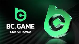 Your Ultimate BC.Game Mirror Guide